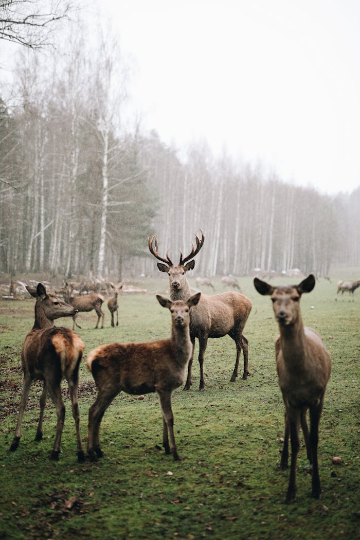 pexels photo 6929330 4